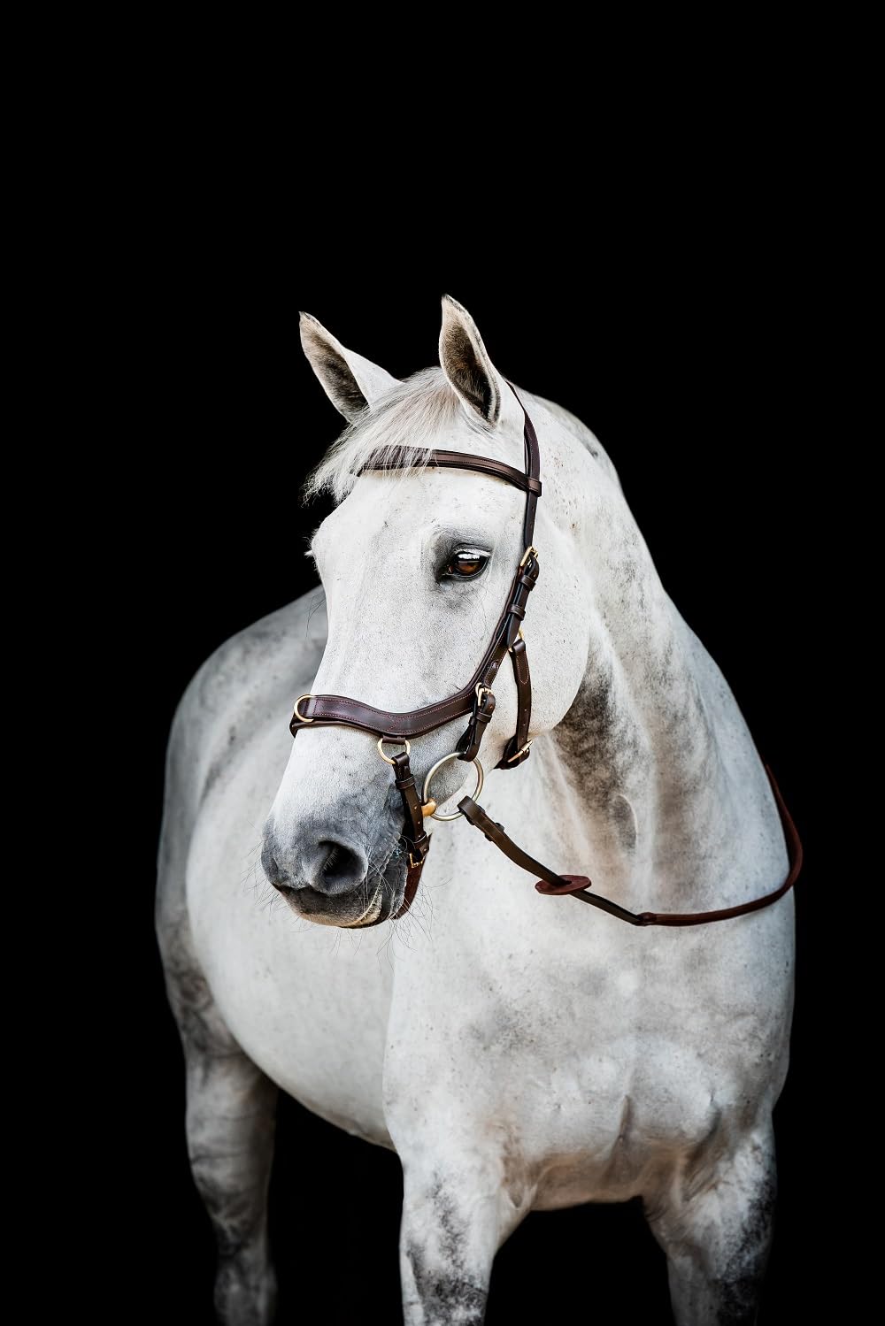 Horseware HW Micklem2 Multi Bridle, X-Warmblut, Dark Havanna