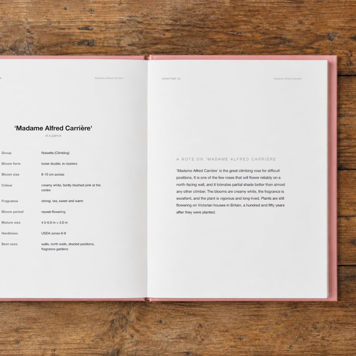 THE ROSE A Practical Guide to Growing, Choosing & Living With Roses: A Large Decorative Hardcover Coffee Table Book and Curated Flower Archive 200+ Rose Facts, Variety Profiles, and Insights