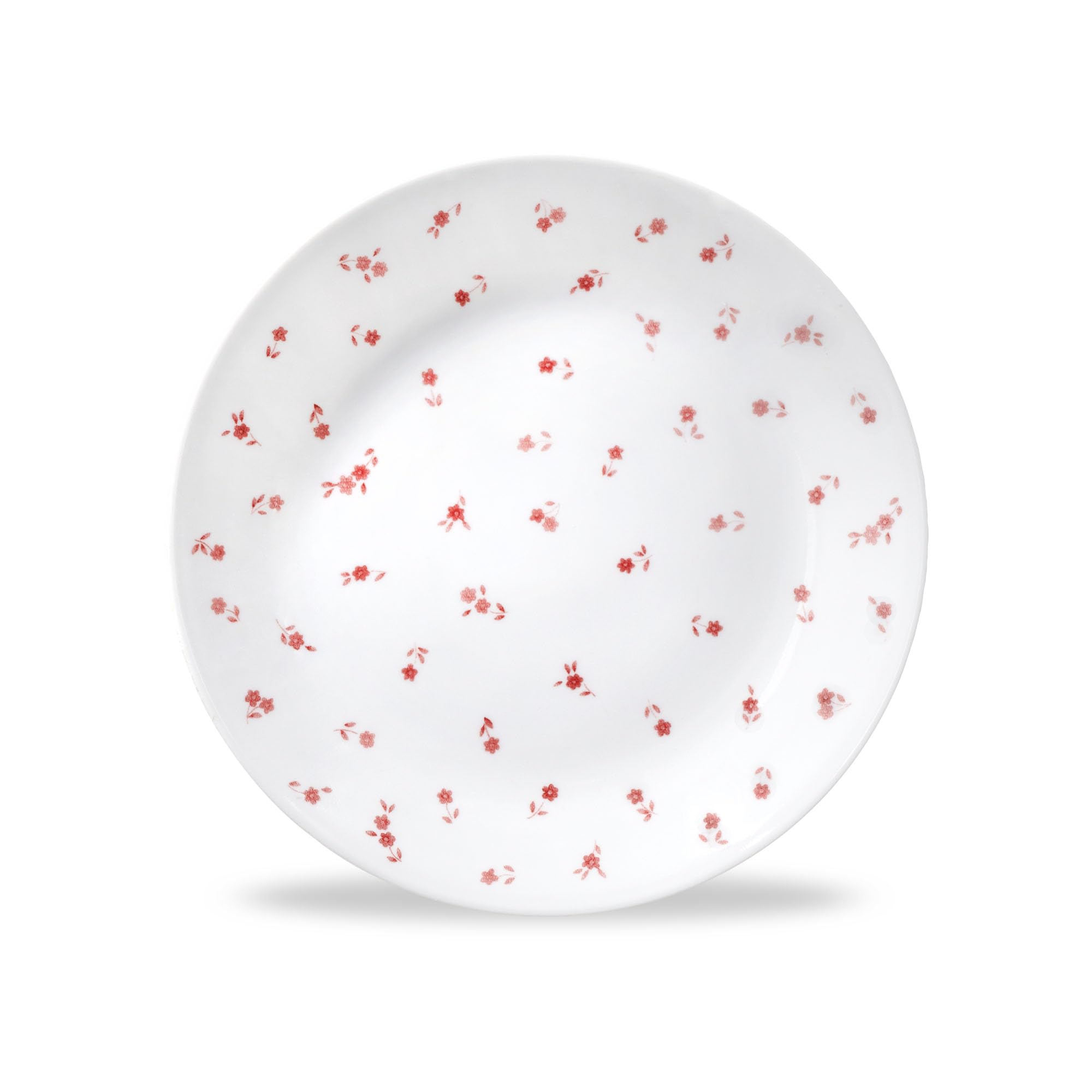 Sweet Flora 6-Piece 8.5-inch Lunch plates Set