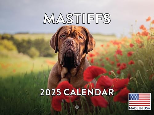 Vista 333 de Calendario Goldendoodle 2026 Golden Doodle mensual de pared calendario de 12 meses Fabricado en Estados Unidos