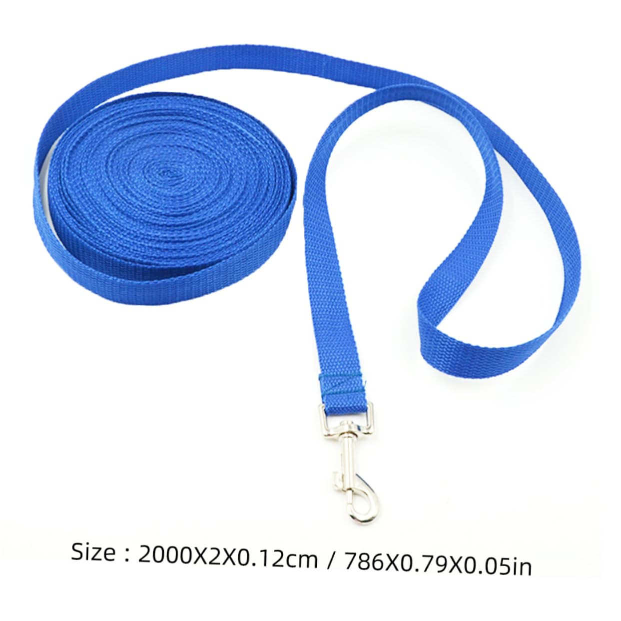 Toddmomy 2pièces Laisse Longue pour Chien De Mètres Collier Entraînement Bleu pour Dressage Discipline Animaux De Compagnie