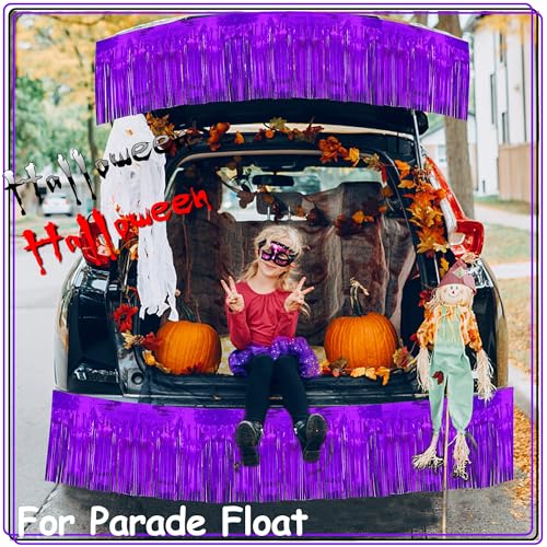 Image of 4 Pack 10 Feet Glitter Purple Parade Float Decorations for Trailer Car, Glitter Foil Fringe Metallic Tinsel Streamers Banner Garland for Graduation Homecoming Birthday Party (Glitter-Purple)