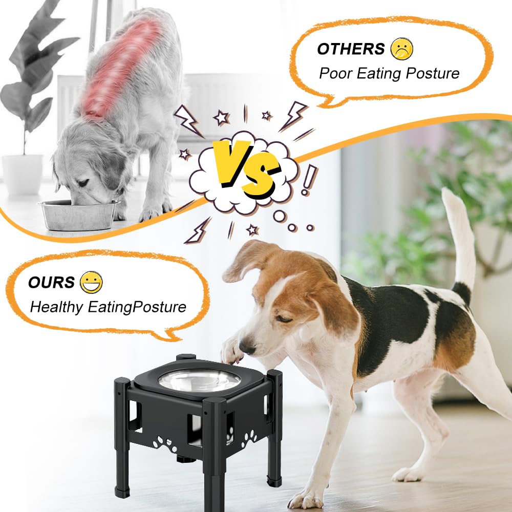 Gamelle d'eau pour chien, anti-éclaboussures, réglable en hauteur, gamelle en acier inoxydable, gamelle d'eau surélevée pour chien, avec gamelle anti-glouton