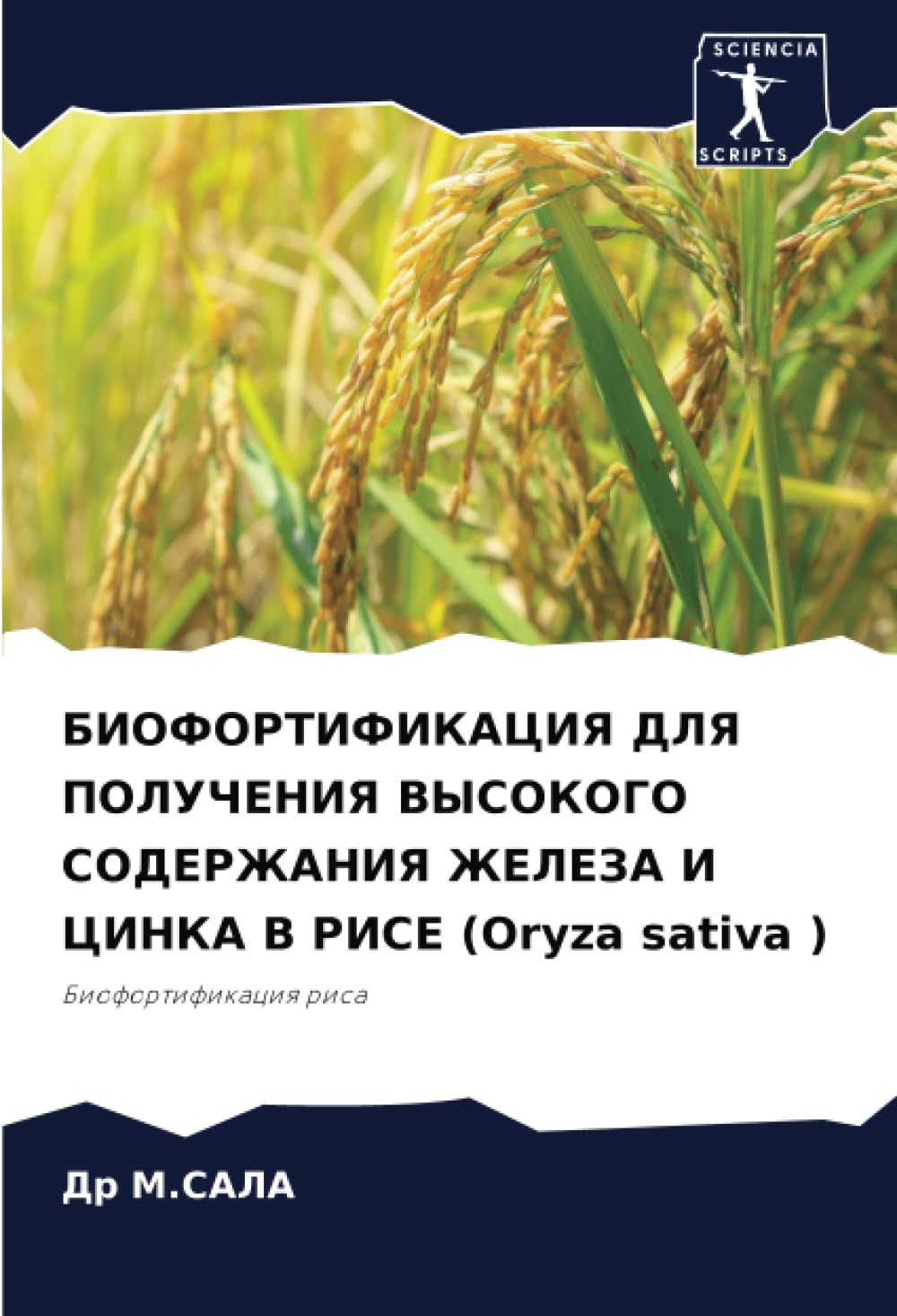 БИОФОРТИФИКАЦИЯ ДЛЯ ПОЛУЧЕНИЯ ВЫСОКОГО СОДЕРЖАНИЯ ЖЕЛЕЗА И ЦИНКА В РИСЕ (Oryza sativa ): Биофортификация риса