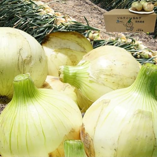 ���� �W�H�� �V�ʂ˂� �y3������V�ʂ˂� �����J�n�z �O�삳��́y�\���e�B�ʂ˂��z�󂠂� 5�L�� �L�@�엿�g�p ���ʍ͔|�ȏ� �ʂ˂� ���܂˂� �^�}�l�M �W�H�� �ʃl�M �ʔK