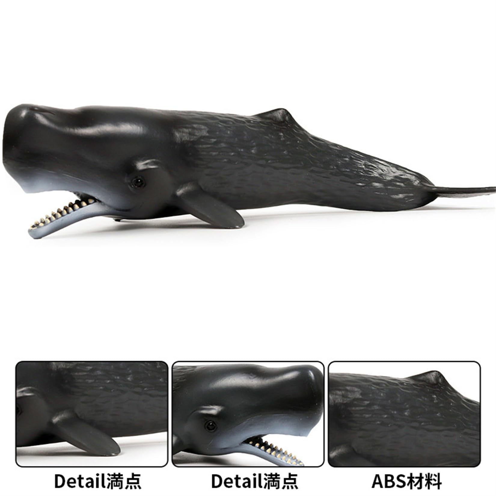 Amazon | EUHELOPA マッコウクジラ フィギュア 24cm級 鯨類 海洋動物