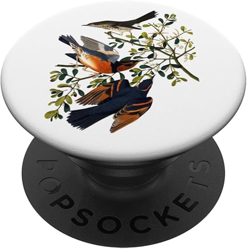 PopSockets PopGrip estándar de pájaro tordo de montaña Mockingbird