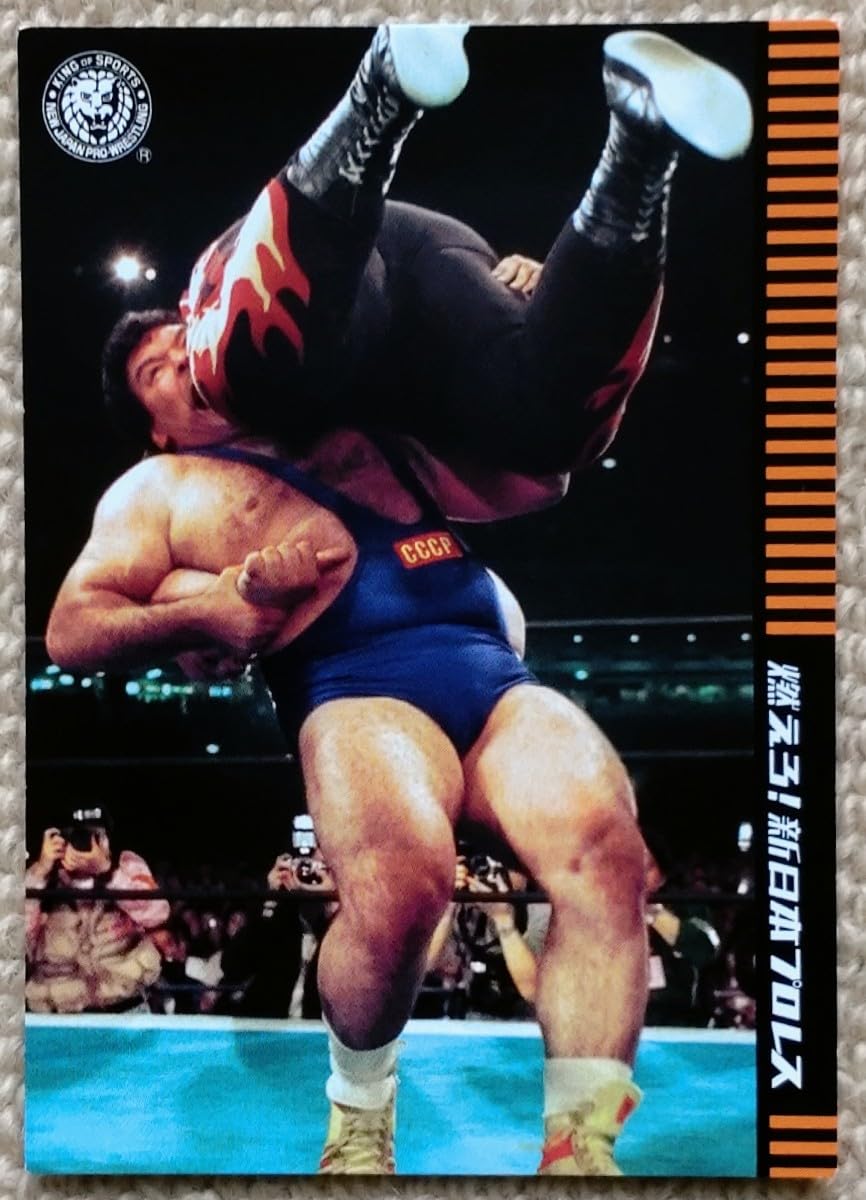 燃えよ新日本プロレス48本セット 784707_n.jpg