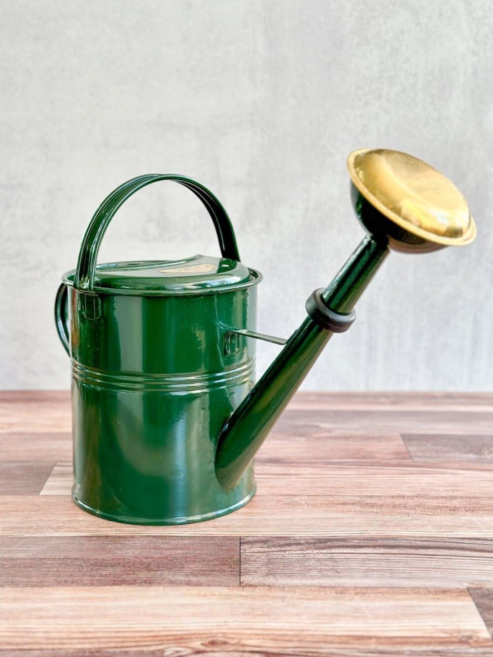 PLINT 5L Watering Can - Modern Style Watering Pot for Indoor and Outdoor House Plants - Coloured Galvanised Powder Coated Steel - Metal Design With Narrow Spout And High Handle -Winter white