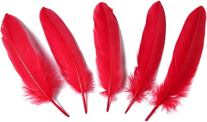 Goose Feather,Hgshow 100Pcs Beautiful Feathers 6-8 inches 15-20 cm, Choose Color Useful Charming