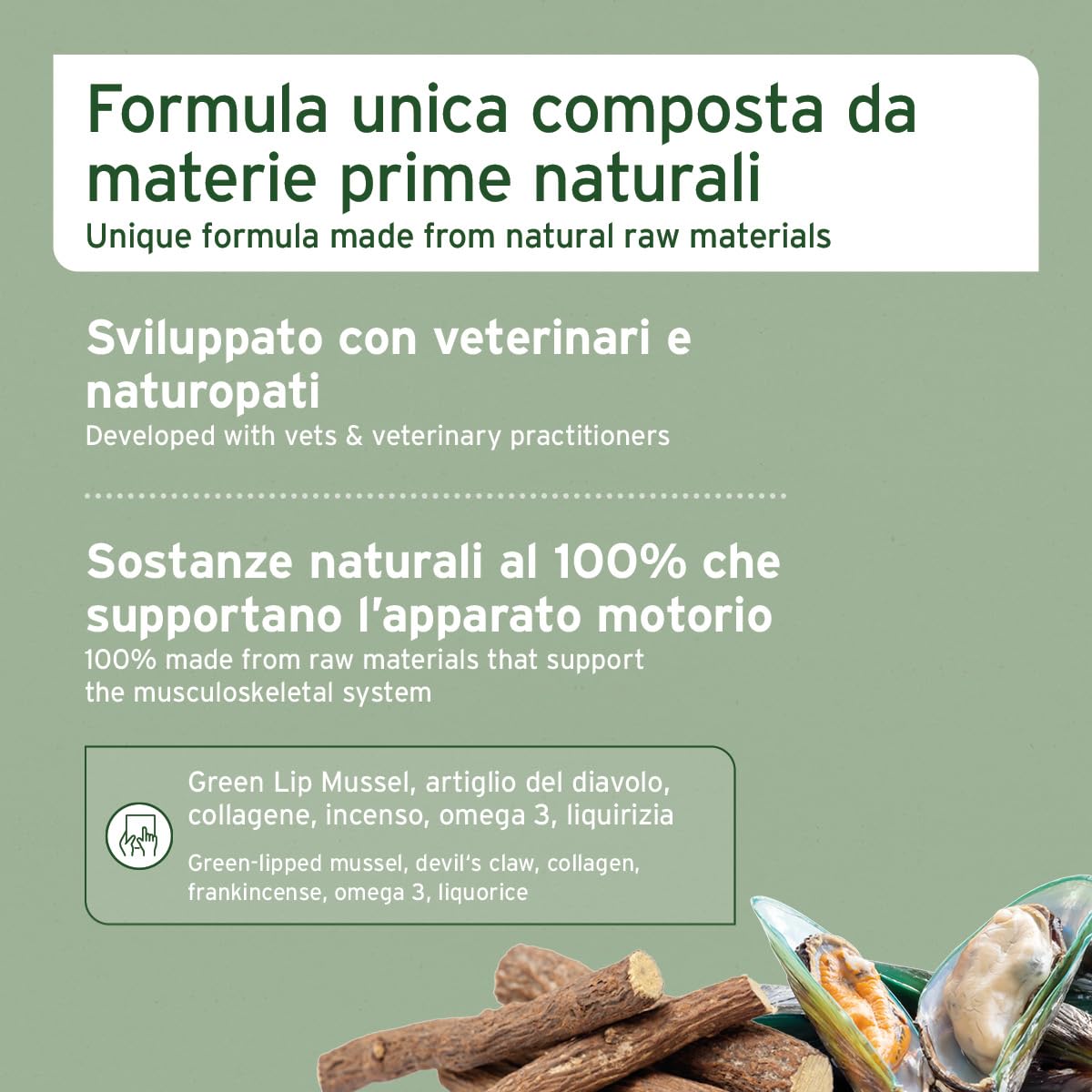 AniForte compresse per articolazioni per cani 300 pezzi - Compresse naturali per articolazioni con cozza dalle labbra verdi, artiglio del diavolo, collagene, glucosamina, condroitina