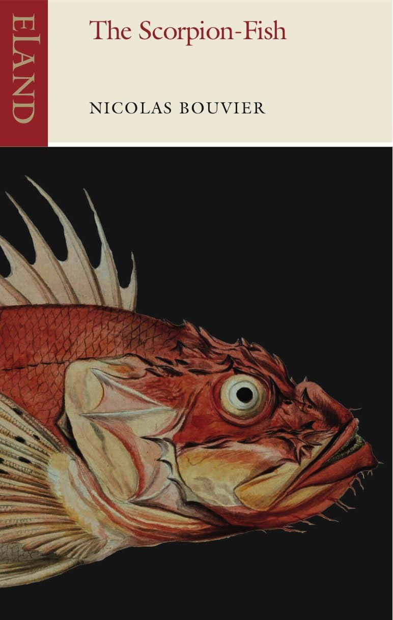 Scorpion-Fish by Nicolas Bouvier (2014, Trade Paperback)