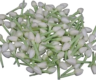 1000 Piece - Artificial Jasmine Buds | Tissue Paper Flowers for Crafts, Decor, Ceremonies, and Gift Wrapping (Approx: 1 inch per Bud)