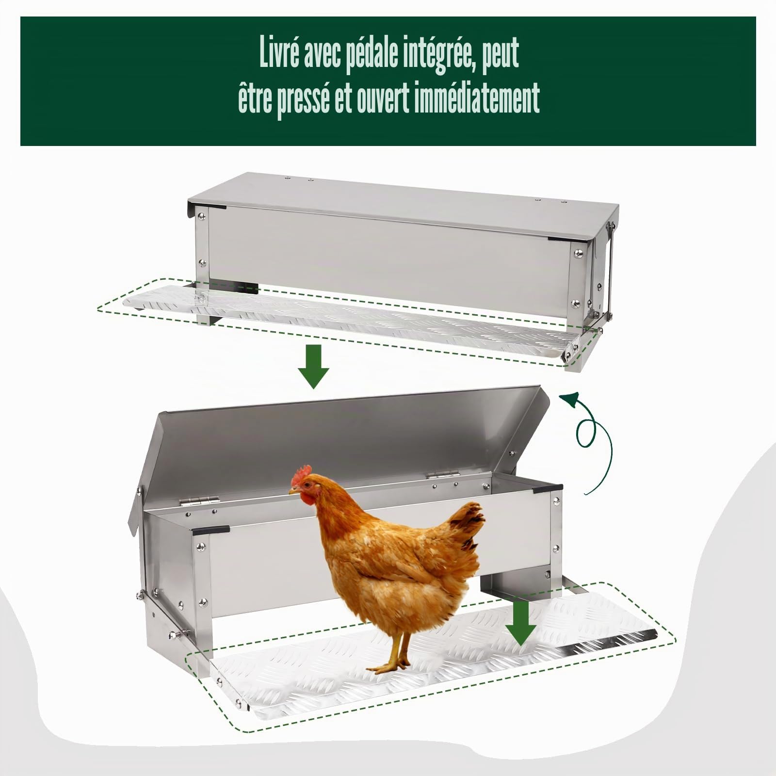 Mangeoire Automatique à Pédale 5kg en Métal pour Volailles, Distributeur de Nourriture avec Couvercle et Cuillère Métallique, Mangeoire Extérieure pour Poulets, Canards, Poulaille