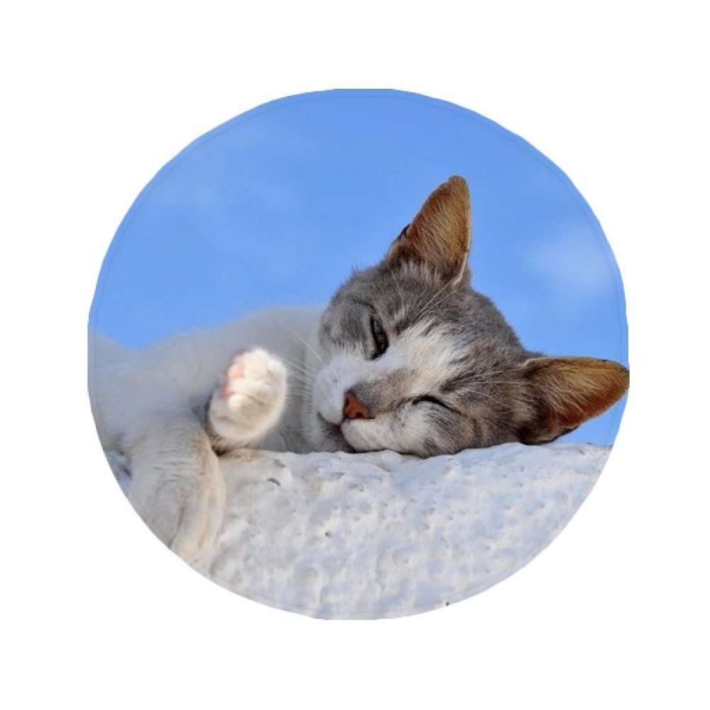 Tapis de bain rond animal mignon chat multicolore antidérapant 50x50cm