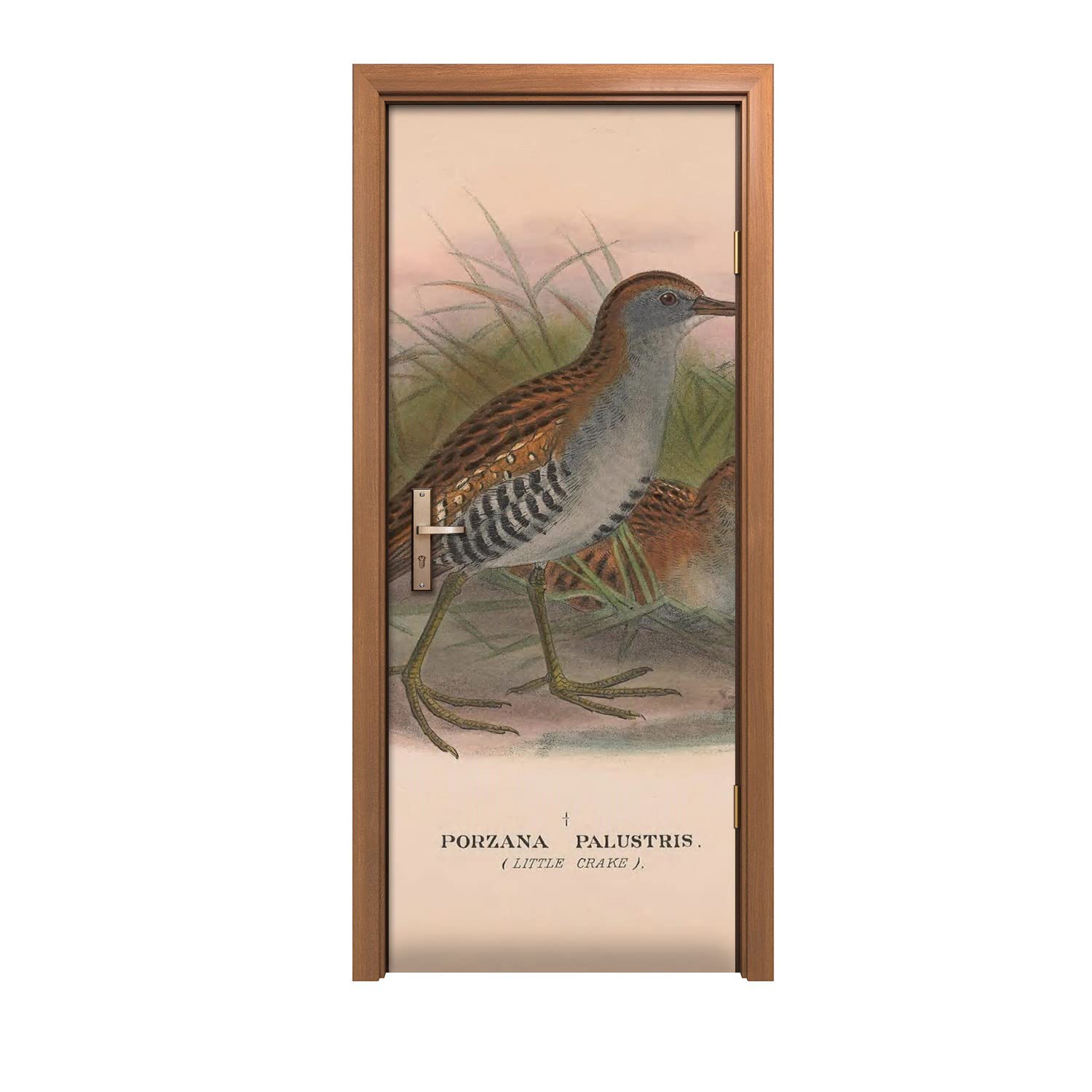 Autocollant de porte oiseaux pour masquer les rayures et reussir sa decoration murale 80x200