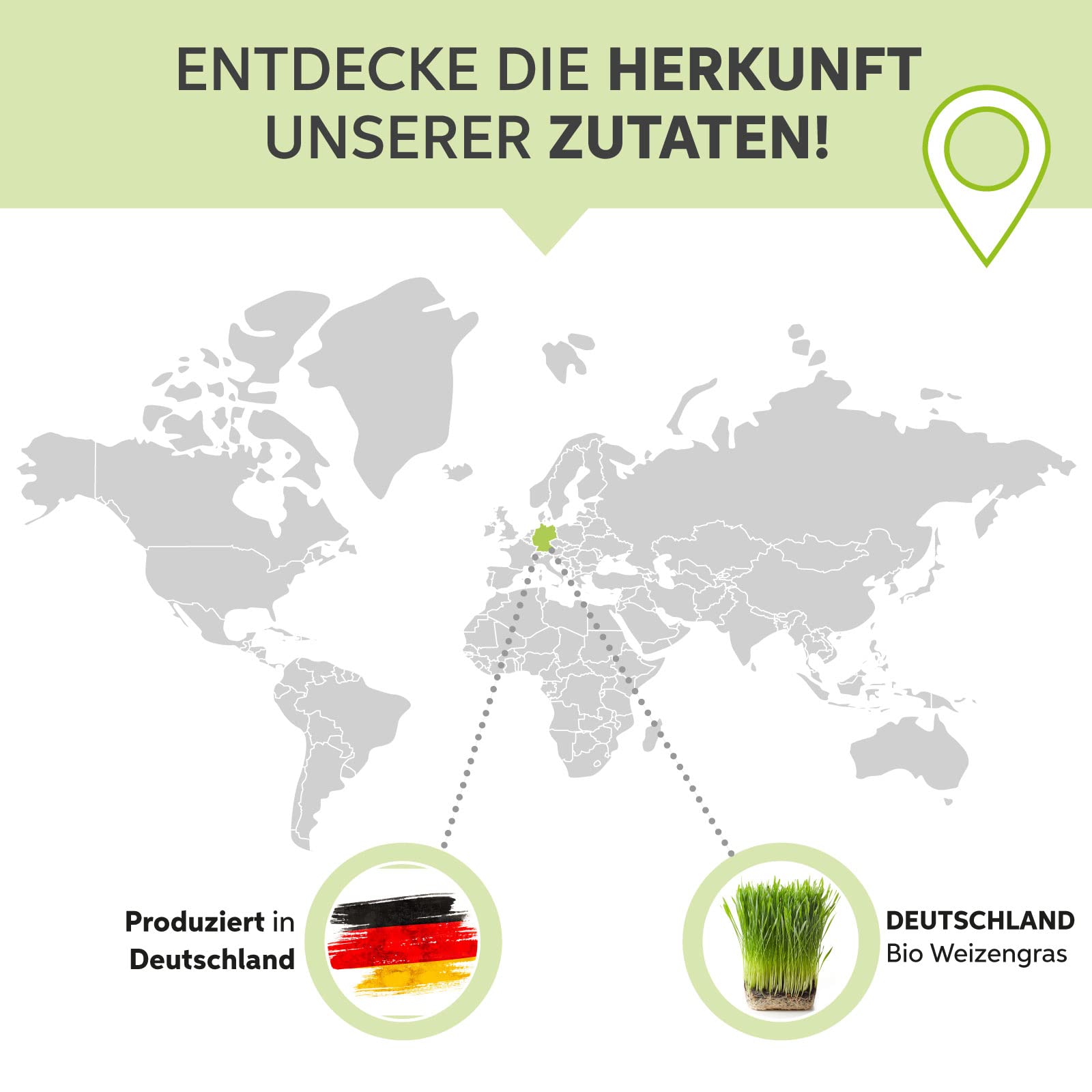 Polvo de hierba de trigo orgánico molido, 1 kg, hierba de trigo en polvo de cultivo alemán, 100% puro, sin aditivos (DE-ÖKO-007)