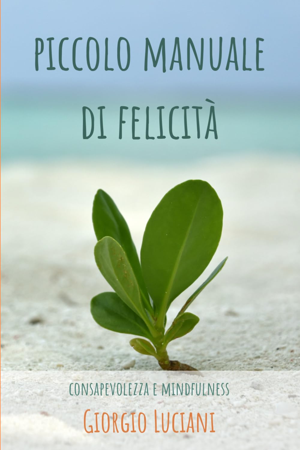 Piccolo manuale di felicità