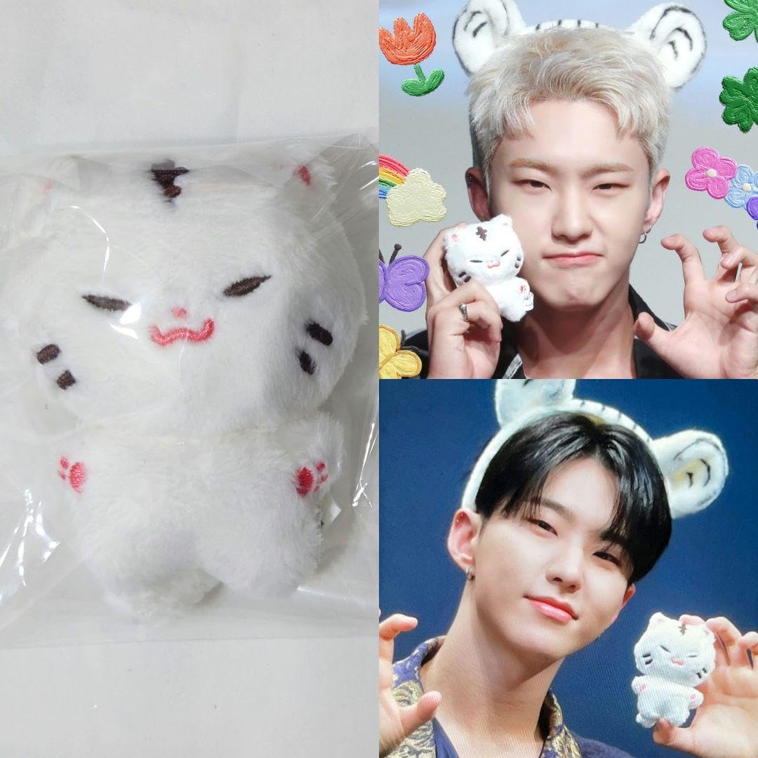 Amazon.co.jp: ホシ ぬいぐるみ 10cm マスター SEVENTEEN セブチ 