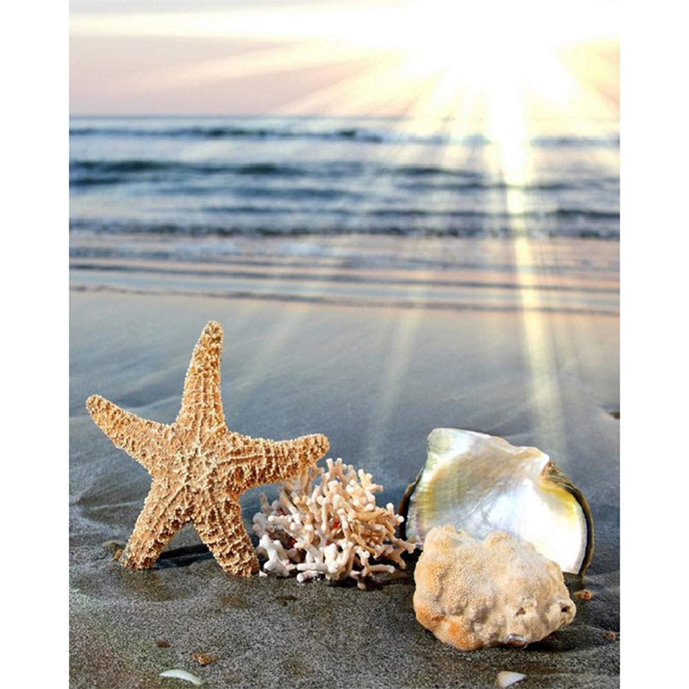 5D Pittura diamante principiante kit, conchiglie da spiaggia, DIY Diamond painting per principiante Strass Ricamo Diamante Art Mosaico Craft Decorazione per Casa e Pareti kit 30x40 cm