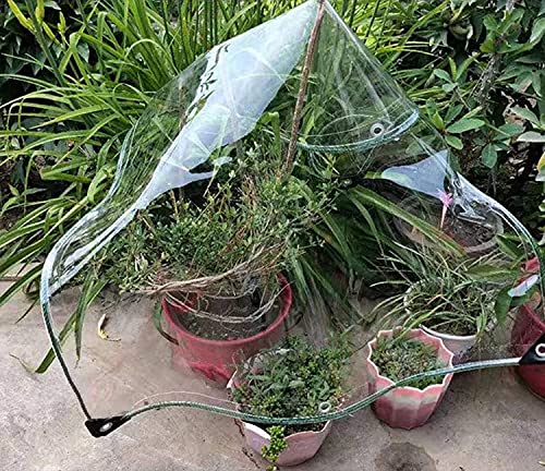 Lonas transparentes resistentes a la lluvia con ojales para carpa 5