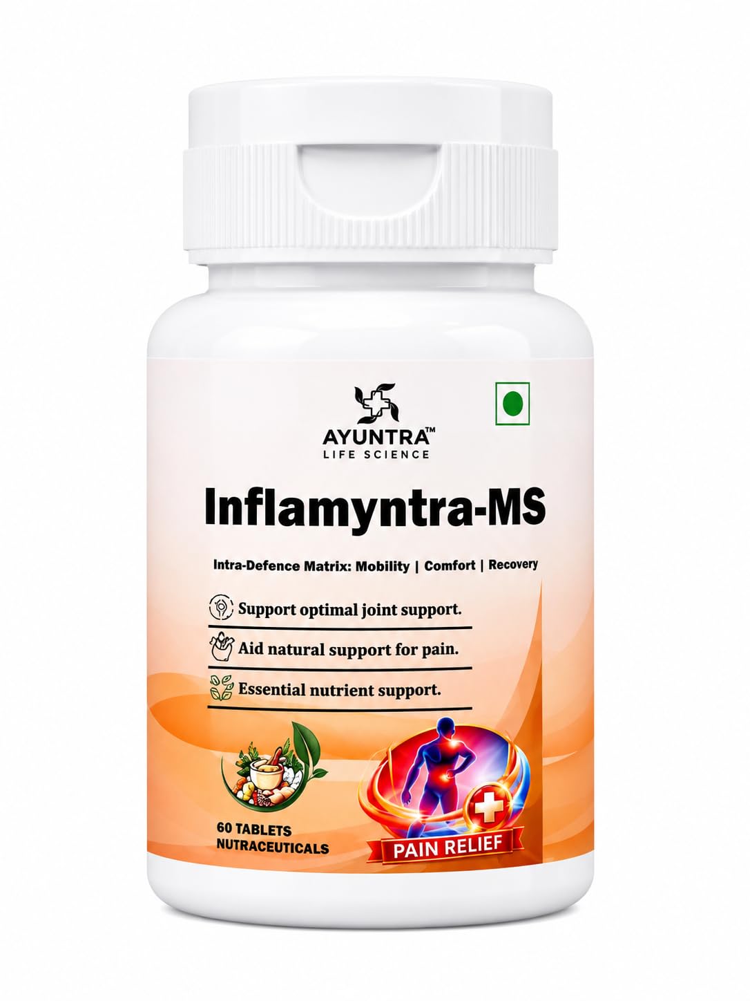 ayuntra inflamyntra-ms joint support tablets with msm, glucosamine, chondroitin, boswellia, turmeric & ginger | mobility & flexibility wellness formula | 60 nutraceutical tablets