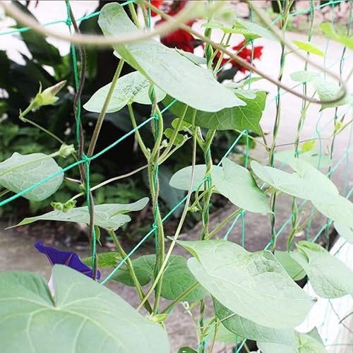 Miniatura 7 de Red de enrejado para plantas trepadoras al aire libre, red de cultivo de alta resistencia para plantas de vid, frutas y flores, red de enrejado para