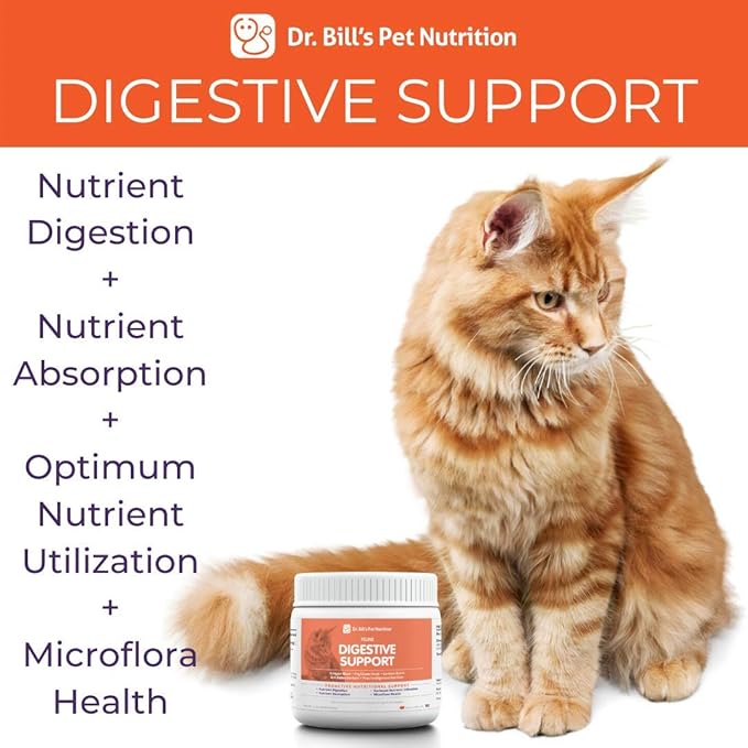 psyllium for cats