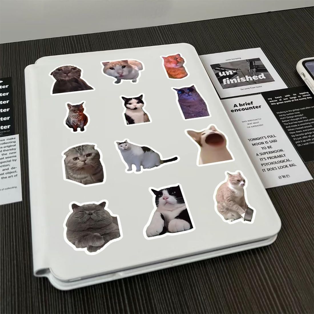 100 adesivi di meme di gatti, impermeabili e resistenti al sole, stampa ad alta definizione, stickers, stiker