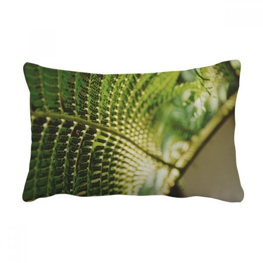 Grand coussin lombaire avec photographie de plante pour un confort optimal