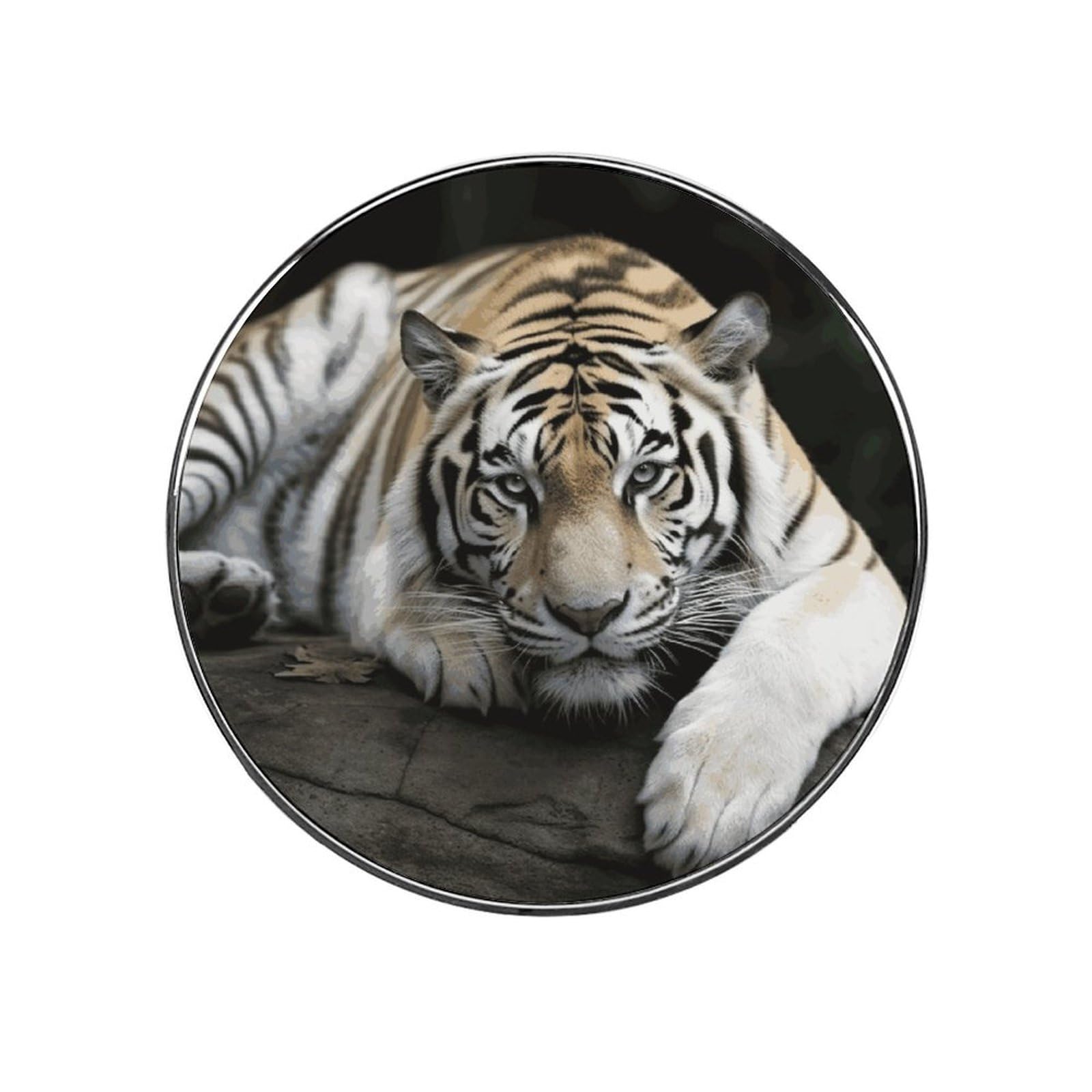 Tiger Lie On Rock Fridge Magnet Magnetic Refrigerator Magnets Mini Round Kitchen Fridges Magnets for Kitchen Office Whiteboard Cabinet and Dishwasher