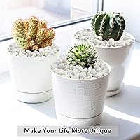 Vista 7 de Grava para suculentas y cactus de 10 libras, guijarros pulidos decorativos naturales blancos de 1/5 pulgadas para paisajismo, rocas de río