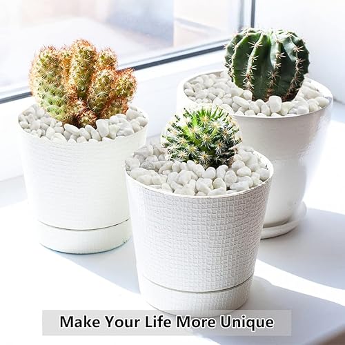 Miniatura 7 de Grava para suculentas y cactus de 10 libras, guijarros pulidos decorativos naturales blancos de 15 pulgadas para paisajismo, rocas de río para