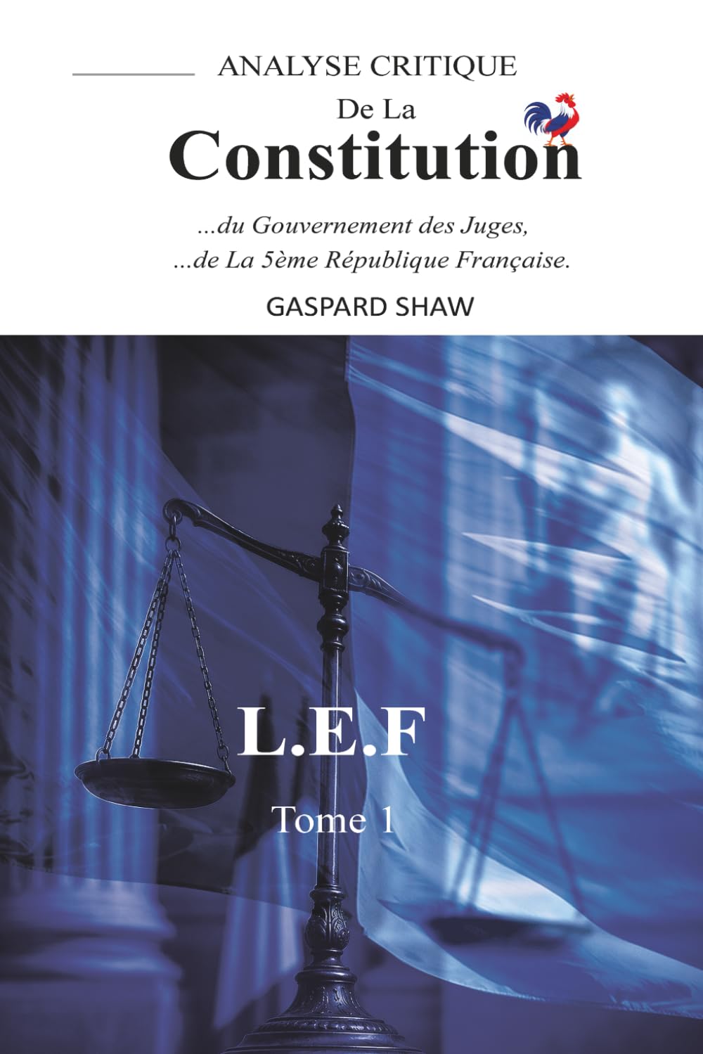 Analyse Critique de la Constitution de la Ve République Française et du Gouvernement des Juges-Tome 1 (Critical Analysis of the Constitution of the ... la logique du droit enferme la démocratie ?