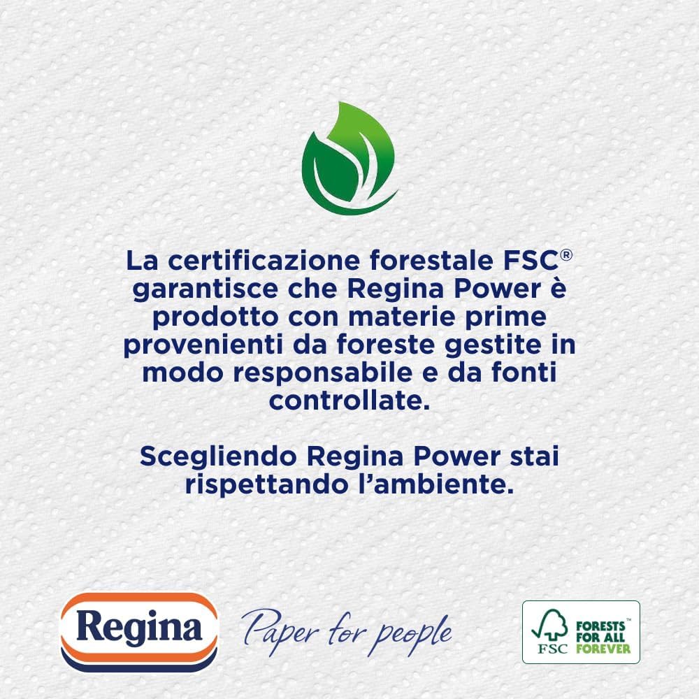 Regina Power Carta Multiuso, 1 Rotolo da 250 Fogli a 2 Veli, Ottimo per la Pulizia di ogni Superficie, Confezione riciclabile, Carta 100% certificata FSC