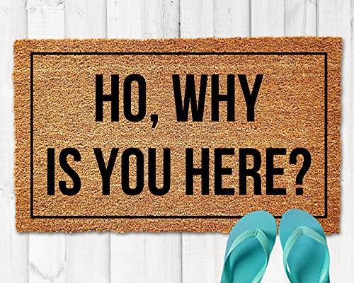 WGGHLPZ Ho, Why is You Here? Doormat Floor Mat Non
