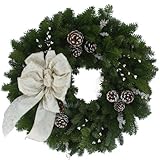 Worcester Wreath 24-Inch Winter Elegance Maine Balsam Wreath