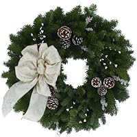 Algopix Similar Product 19 - Worcester Wreath 24Inch Winter