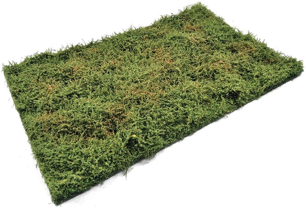 AMMO by mig Jimenez - Diorama Wildderness Fields with Bushes - Early Summer Amig8363 Promo model czo?gów
