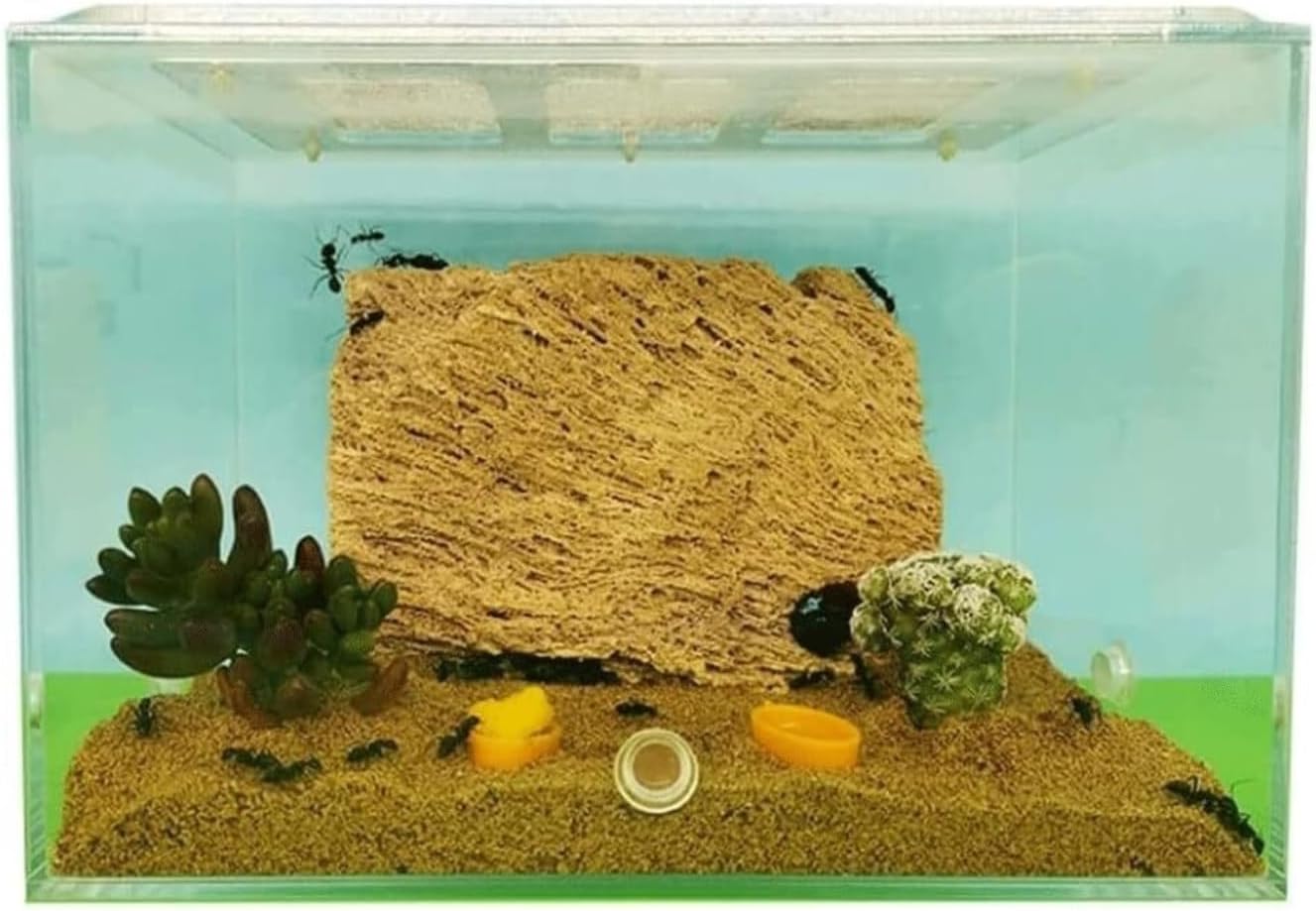 Ant Farm Ant Castle Acrylic Farm Clear Nest Workshop Breeding Room Scientific Observation Habitat(M)