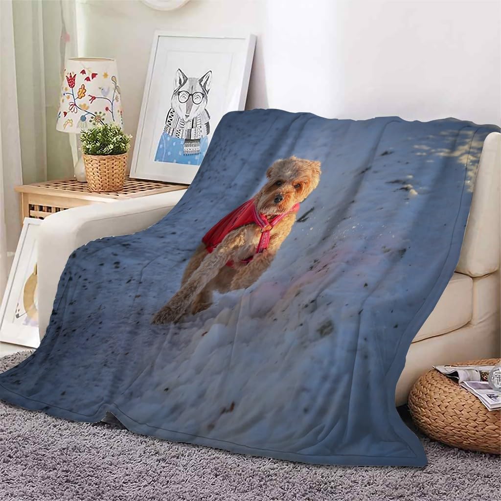 Koc śnieżny Koce Bichon Frisé Łóżko Pojedyncze Ciepło Miękkie Koce Sofa Puszysty Flanelowy 180 x 200 cm na wszystkie pory roku