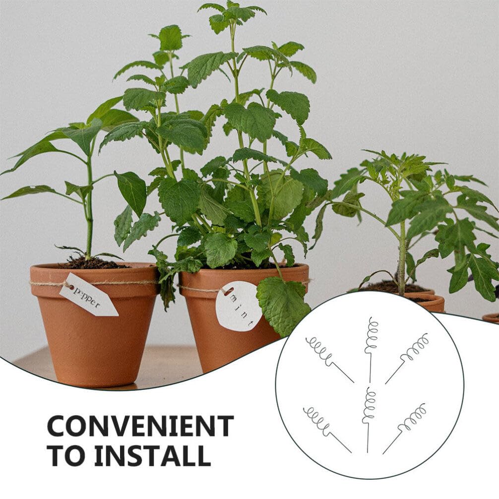 Happyyami 8pièces Support De Plante Torsadé Métal Lot de Tuteurs Spirales pour Plantes pour Jardinage Renforcement De Tiges Unique De Hauteur