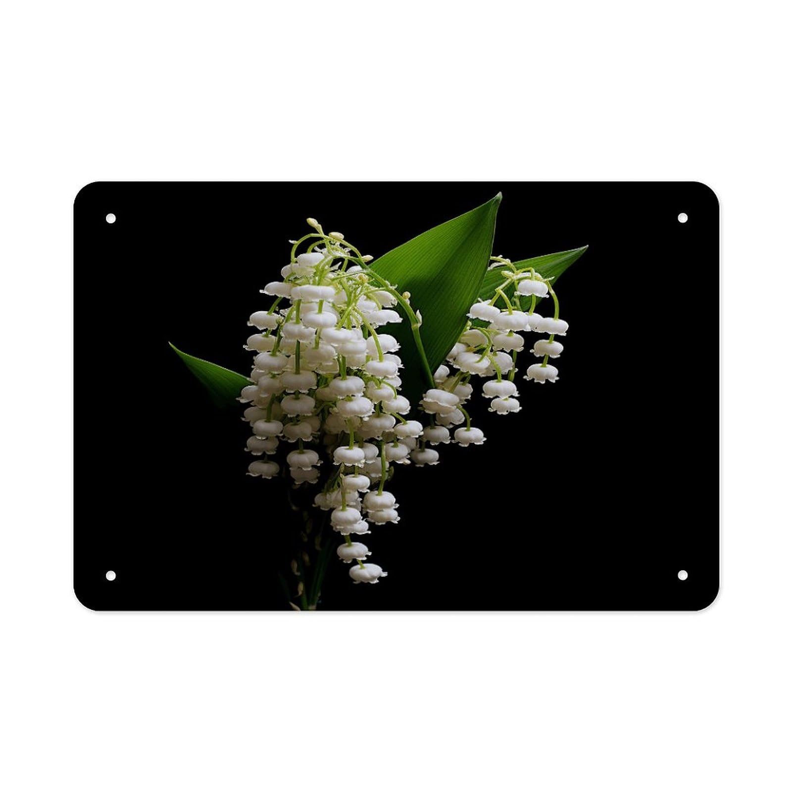 Some Lilies of The Valley Metal Signs Wall Art Tin Sign