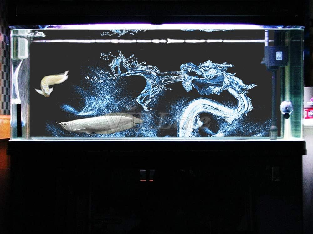 Water Dragon Aquarium Background Poster HD Fish Tank Decorations Landscape (72" x 25"/ 183 x 64cm)