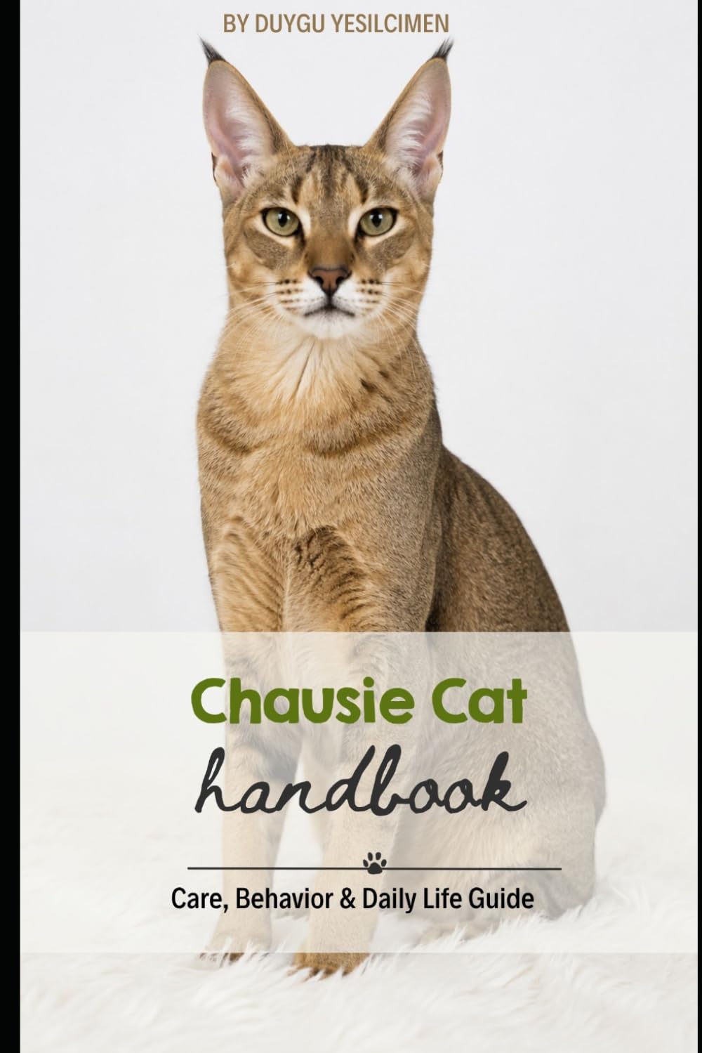 Chausie Cat: Care, Behavior & Daily Life Guide
