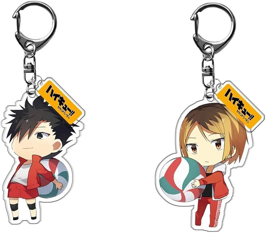 ハイキュー キーホルダー アクリル キーチェーン 影山飛雄 月島蛍 孤爪研磨 及川? 黒尾鉄朗 赤?京治 木兎光太郎 日向翔陽 ペンダント  アニメストラップ コスチューム道具 萌えグッズ 携帯 鍵 自動車飾り (14個セット)