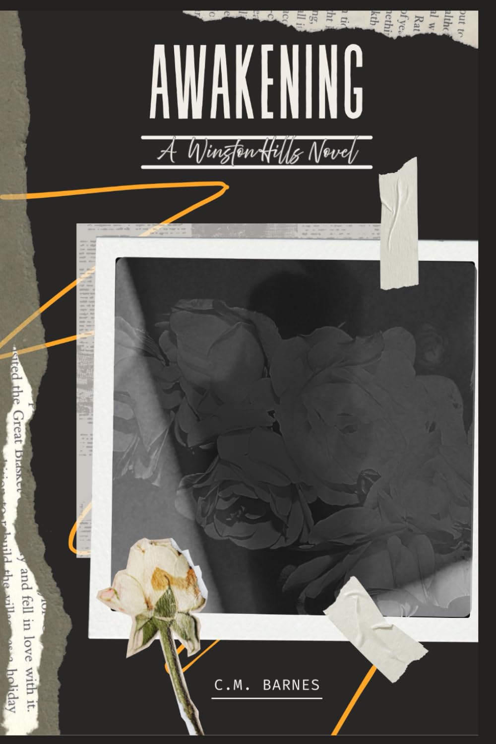AWAKENING: A Winston Hills Novel: 2