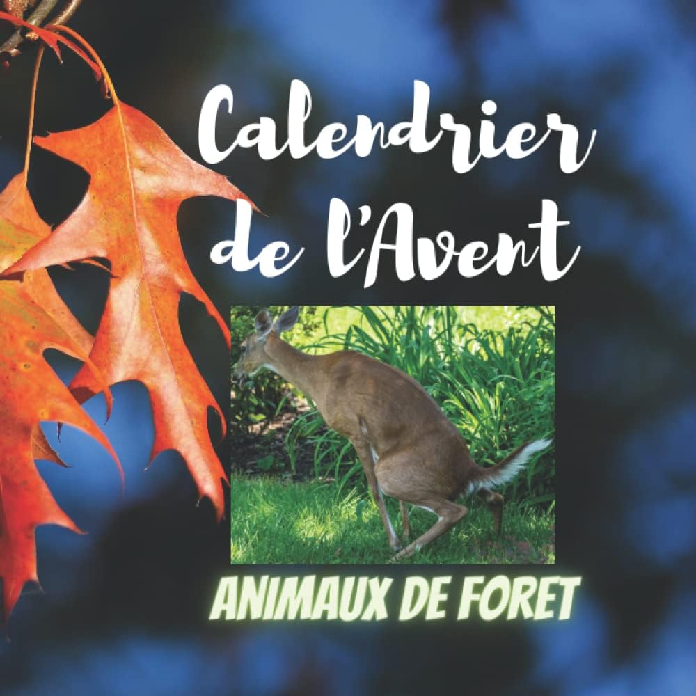 Calendrier de l'Avent 2023: Animaux de la forêt, le meilleur cadeau pour un ami proche ou un membre de la famille pour attendre Noël