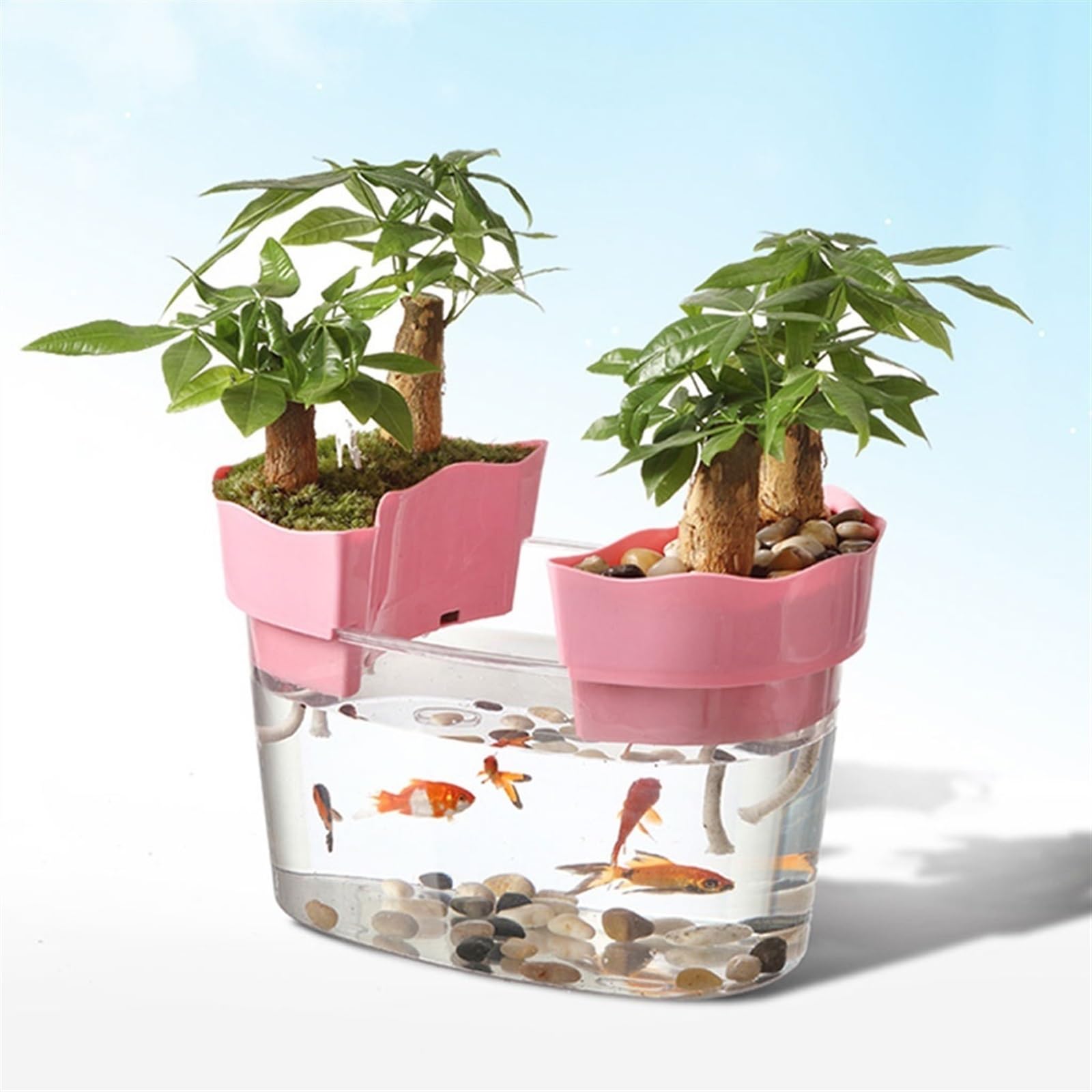 Mały Akwarium Akrylowe przezroczyste akwarium Zbiornik na żółwia Mały ekologiczny zbiornik do akwariów Bonsai Ozdoby na biurko Złota rybka(Średni)