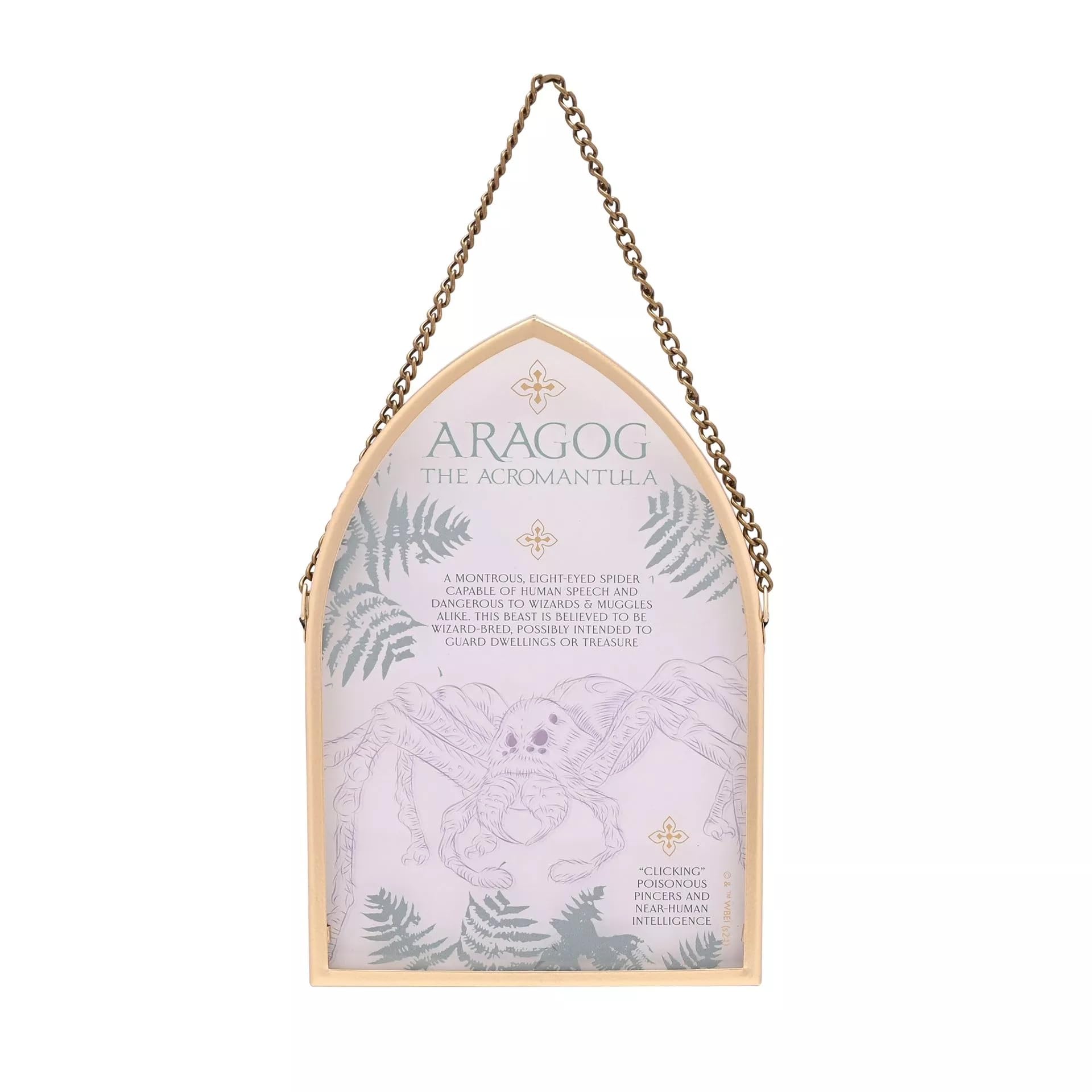Harry Potter  Herbology Arch Plaque Aragog -  - Medium